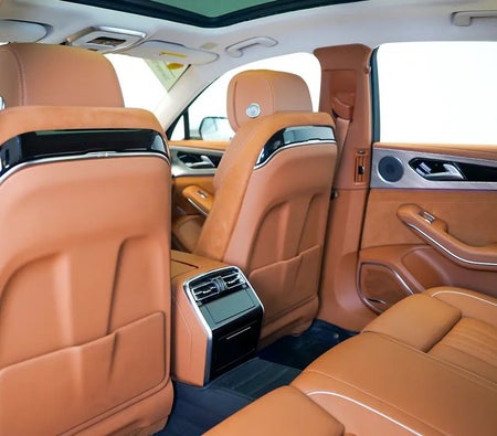 Schwarz Hongqi H9 Luxury 2023 Schwarz Hongqi H9 Luxury 2023