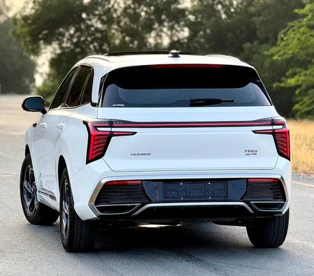 Hongqi HS3 Luxury Pro 2025, photo 4 of 4