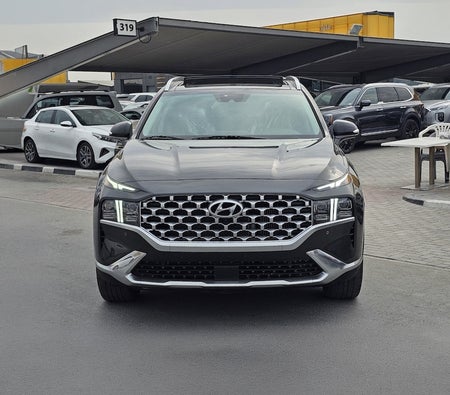 Hyundai Santa Fe Top 2023, photo 2 of 4