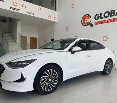 White Hyundai Sonata 2.0L Ultimate 2021 White Hyundai Sonata 2.0L Ultimate 2021