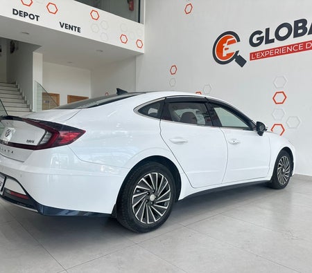 White Hyundai Sonata 2.0L Ultimate 2021 White Hyundai Sonata 2.0L Ultimate 2021
