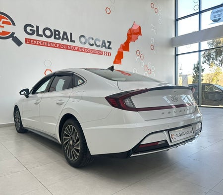 White Hyundai Sonata 2.0L Ultimate 2021 White Hyundai Sonata 2.0L Ultimate 2021