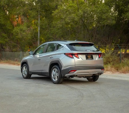 Silver Hyundai Tucson Smart 2025 Silver Hyundai Tucson Smart 2025