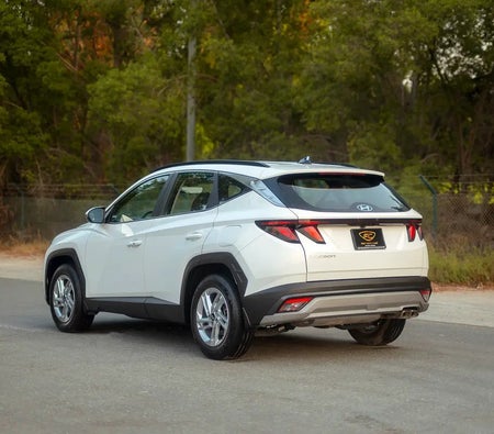 Bianca Hyundai Tucson Smart 2025