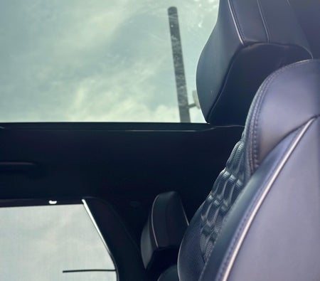 White Hyundai Palisade Calligraphy 2020