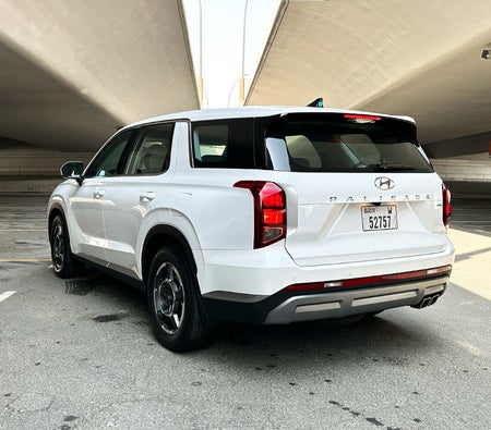 White Hyundai Palisade 2022