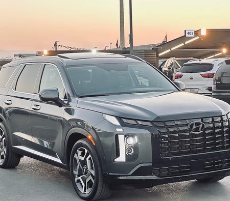 Hyundai Palisade Premium 2024, photo 3 of 4