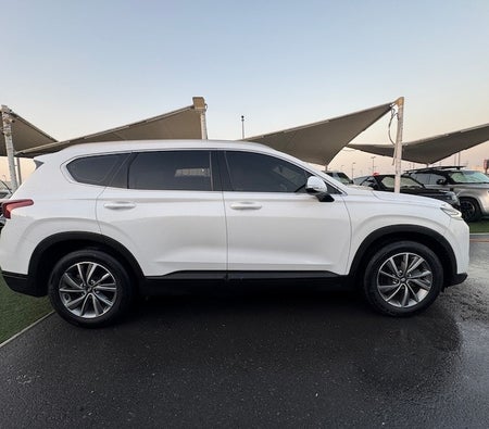 Hyundai Santa Fe Mid 2020, photo 4 of 4