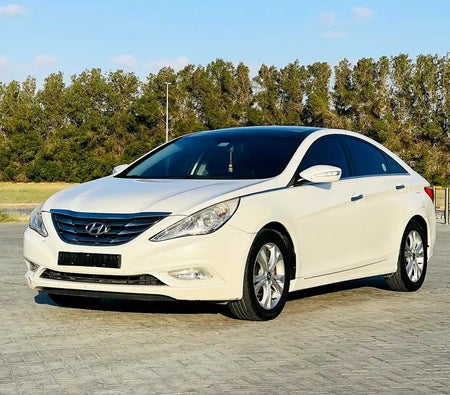 Hyundai Sonata Limited 2010, photo 3 of 4