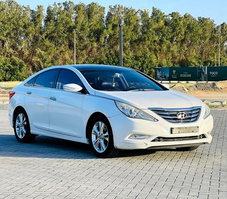 Hyundai Sonata Limited 2010, photo 2 of 4