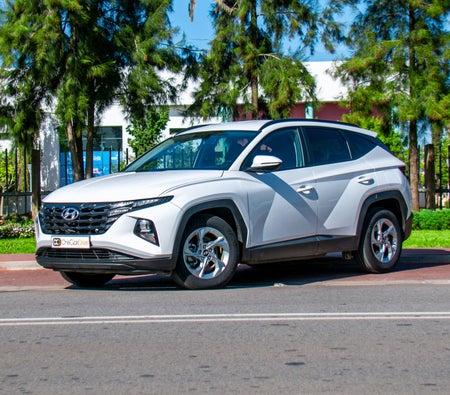 White Hyundai Tucson 2023 White Hyundai Tucson 2023