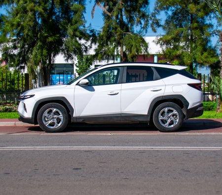 White Hyundai Tucson 2023 White Hyundai Tucson 2023