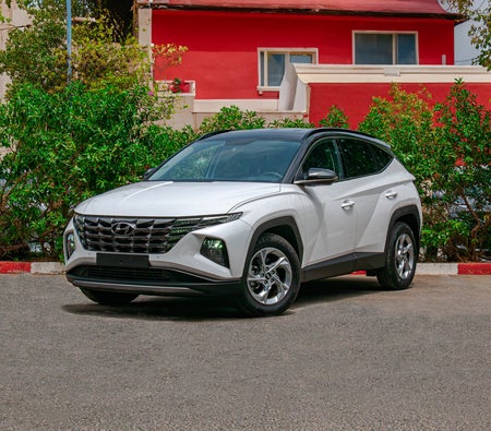 White Hyundai Tucson 2024 White Hyundai Tucson 2024