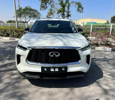 Infiniti QX60 Luxury 2024, photo 2 of 4