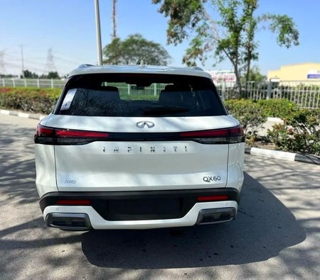 Infiniti QX60 Luxury 2024, photo 4 of 4