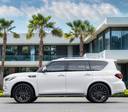 White Infiniti QX80 Sensory Proactive 2024