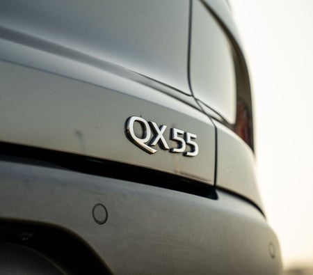 Infiniti QX55 2023, photo 4 of 4