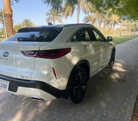 Infiniti QX55 LUXE 2023, photo 4 of 4