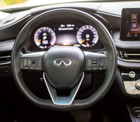 Infiniti QX60 Premium 2023, photo 3 of 4