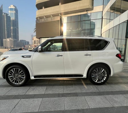 Infiniti QX80 2021