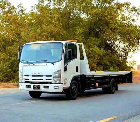 Isuzu N-SERIES NPR 2017, photo 1 of 4