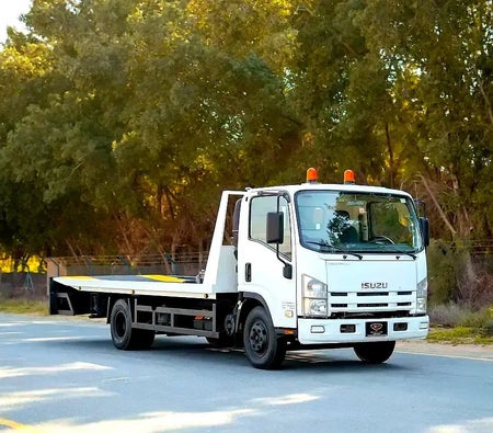Isuzu N-SERIES NPR 2017, photo 2 of 4