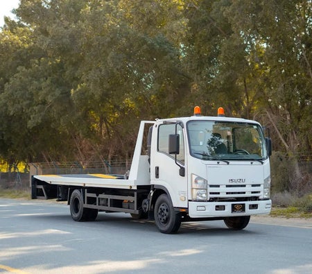 White Isuzu N-SERIES NPR 2017