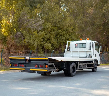 White Isuzu N-SERIES NPR 2017