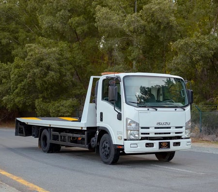 White Isuzu N-SERIES NPR 2017