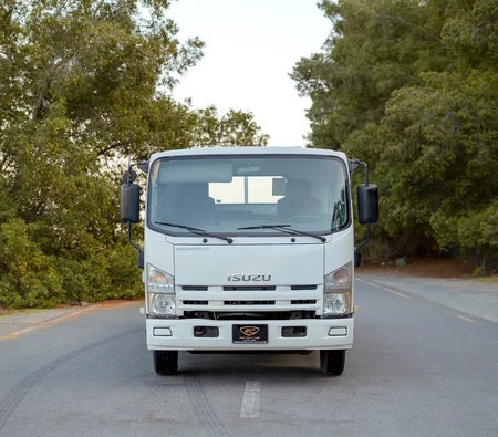 White Isuzu N-SERIES NPR 2017