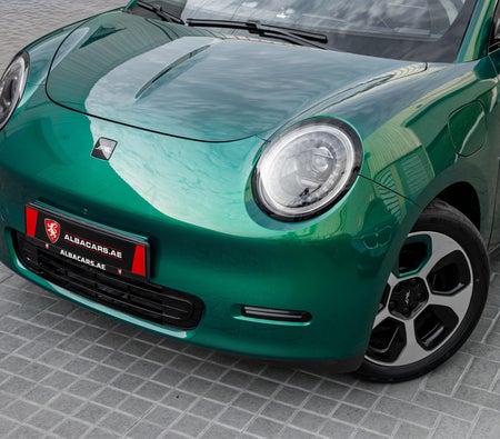 Green JAC E30X 2025