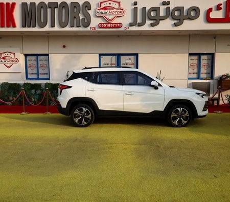 JAC JS4 TURBO 2023, photo 4 of 4