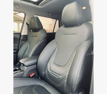 gris JAC S4 2026