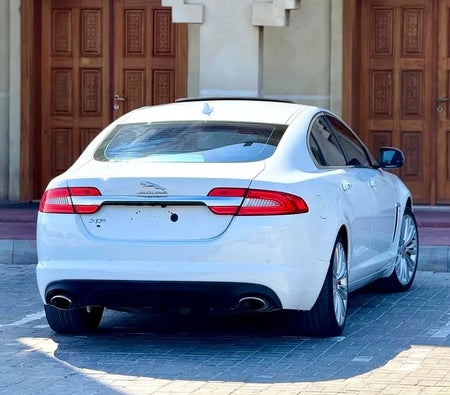 Blanco Jaguar F TYPE Base 2015