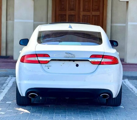 Blanco Jaguar F TYPE Base 2015 Blanco Jaguar F TYPE Base 2015