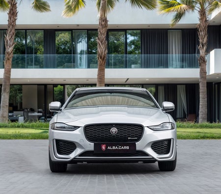 Plata Jaguar XE R-Dynamic 2021