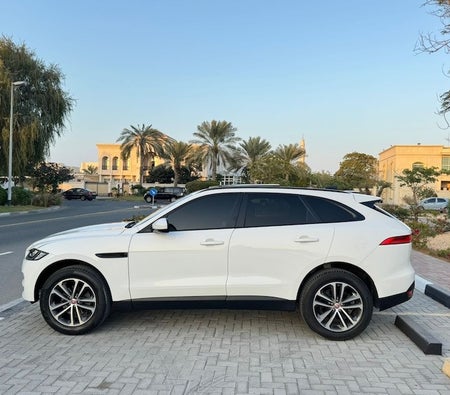 Jaguar F Pace 2020, photo 4 of 4