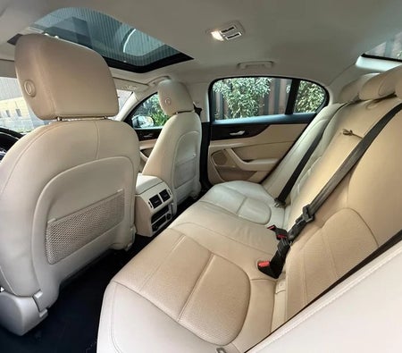 Gray Jaguar XE SE 2020