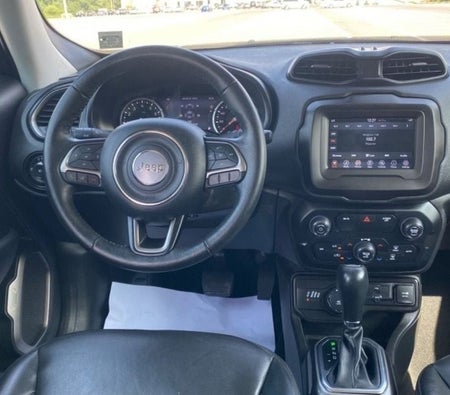 Gris Jeep Renegade 2020