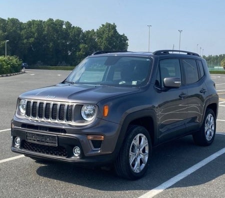 Jeep Renegade 2020, photo 3 of 4