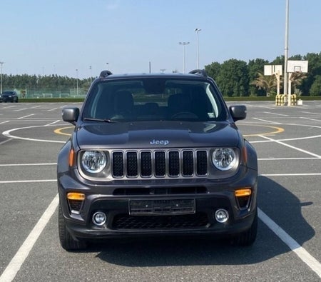 Jeep Renegade 2020, photo 2 of 4