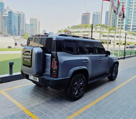 Gray Jetour T2 2025