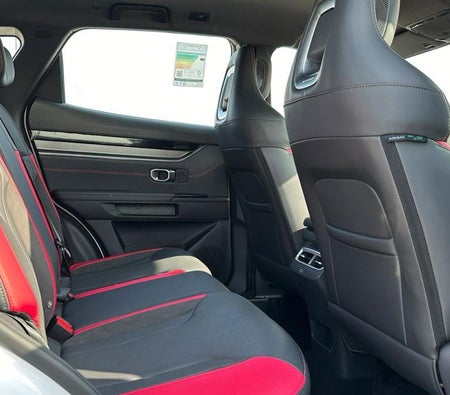 Weiß Jetour Dashing 2024
