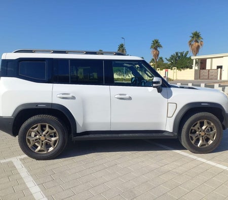 Jetour T2 2025, photo 4 of 4