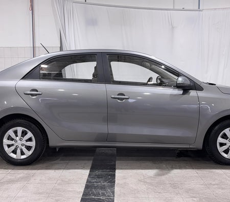 Grau Kia Pegas LX 2024 Grau Kia Pegas LX 2024