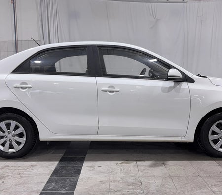 أبيض كيا Pegas LX 2024 أبيض كيا Pegas LX 2024