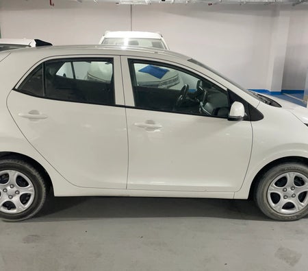 Weiß Kia Picanto LX 2024 Weiß Kia Picanto LX 2024