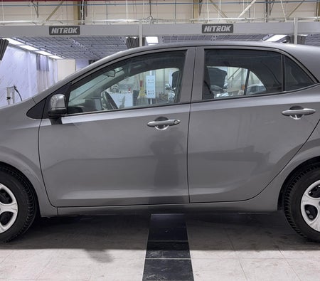Grau Kia Picanto LX 2024 Grau Kia Picanto LX 2024