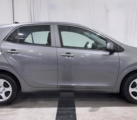 Grau Kia Picanto LX 2024