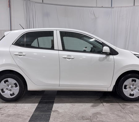Weiß Kia Picanto LX 2023 Weiß Kia Picanto LX 2023